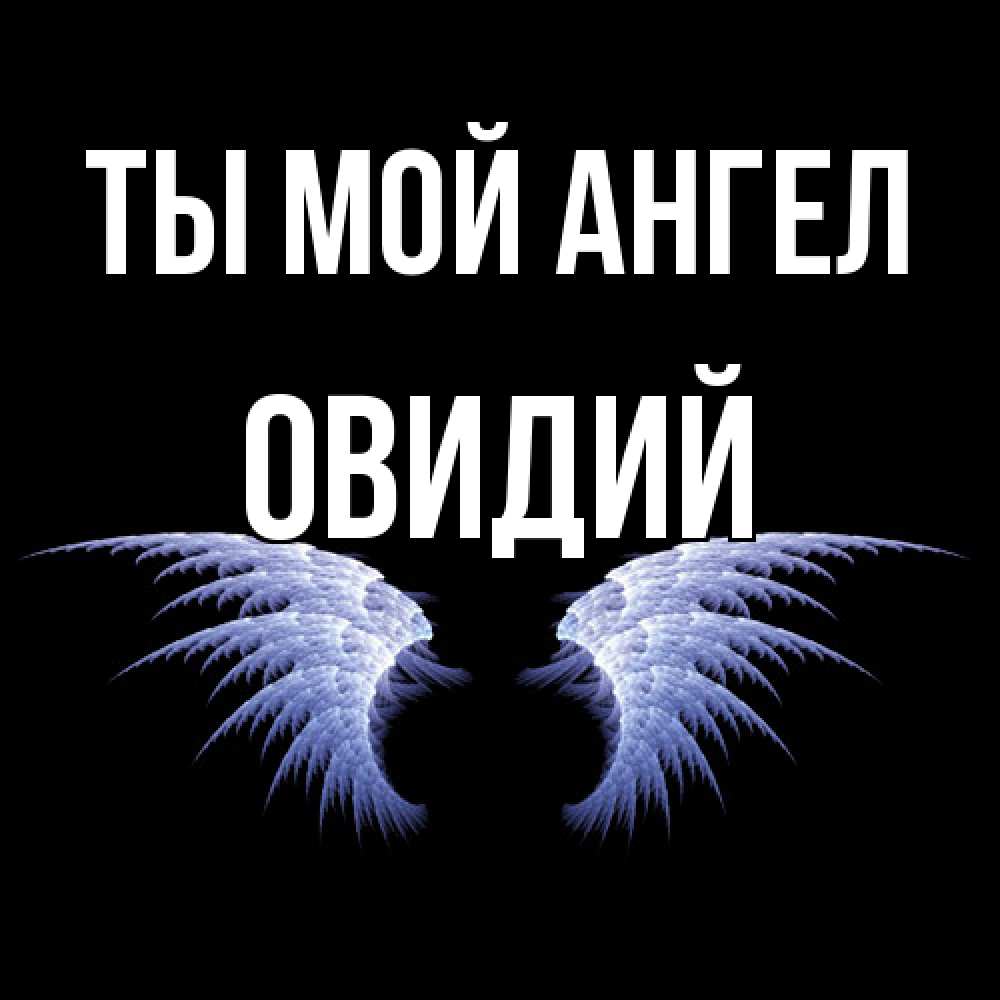Открытка на каждый день с именем, Овидий Ты мой ангел ангельские крылья на черном фоне Прикольная открытка с пожеланием онлайн скачать бесплатно 