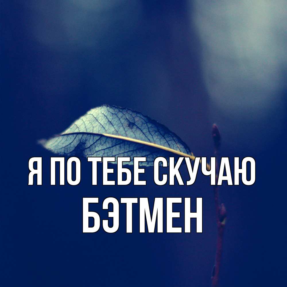 Открытка на каждый день с именем, Бэтмен Я по тебе скучаю одна ветка 1 Прикольная открытка с пожеланием онлайн скачать бесплатно 