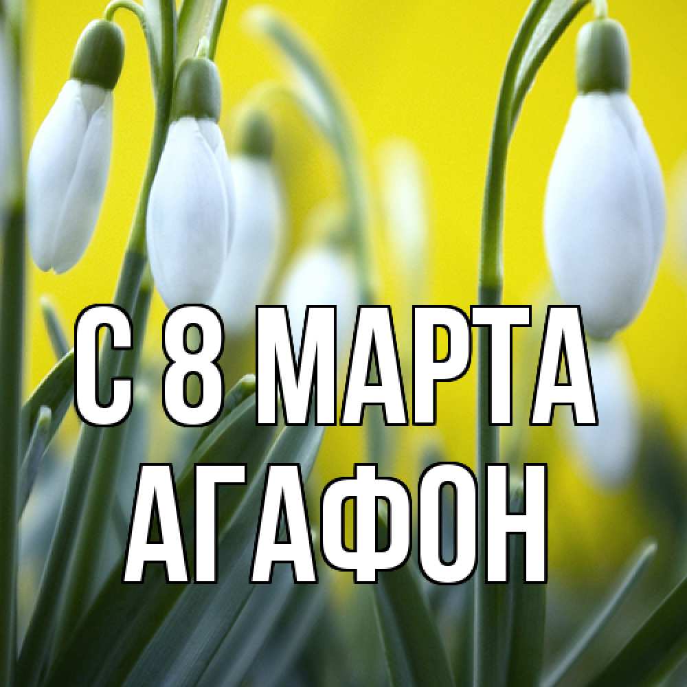 Открытка на каждый день с именем, Агафон C 8 МАРТА весенние цветы Прикольная открытка с пожеланием онлайн скачать бесплатно 