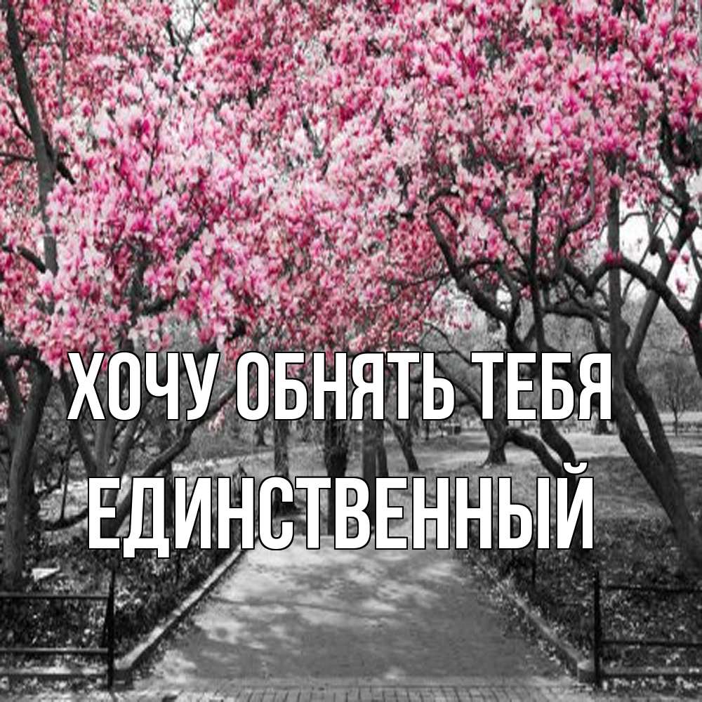 Открытка на каждый день с именем, Единственный Хочу обнять тебя обработанное фото Прикольная открытка с пожеланием онлайн скачать бесплатно 