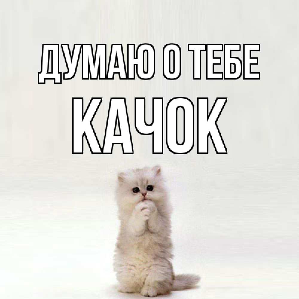 Открытка на каждый день с именем, Качок Думаю о тебе кот стоит на задних лапах Прикольная открытка с пожеланием онлайн скачать бесплатно 