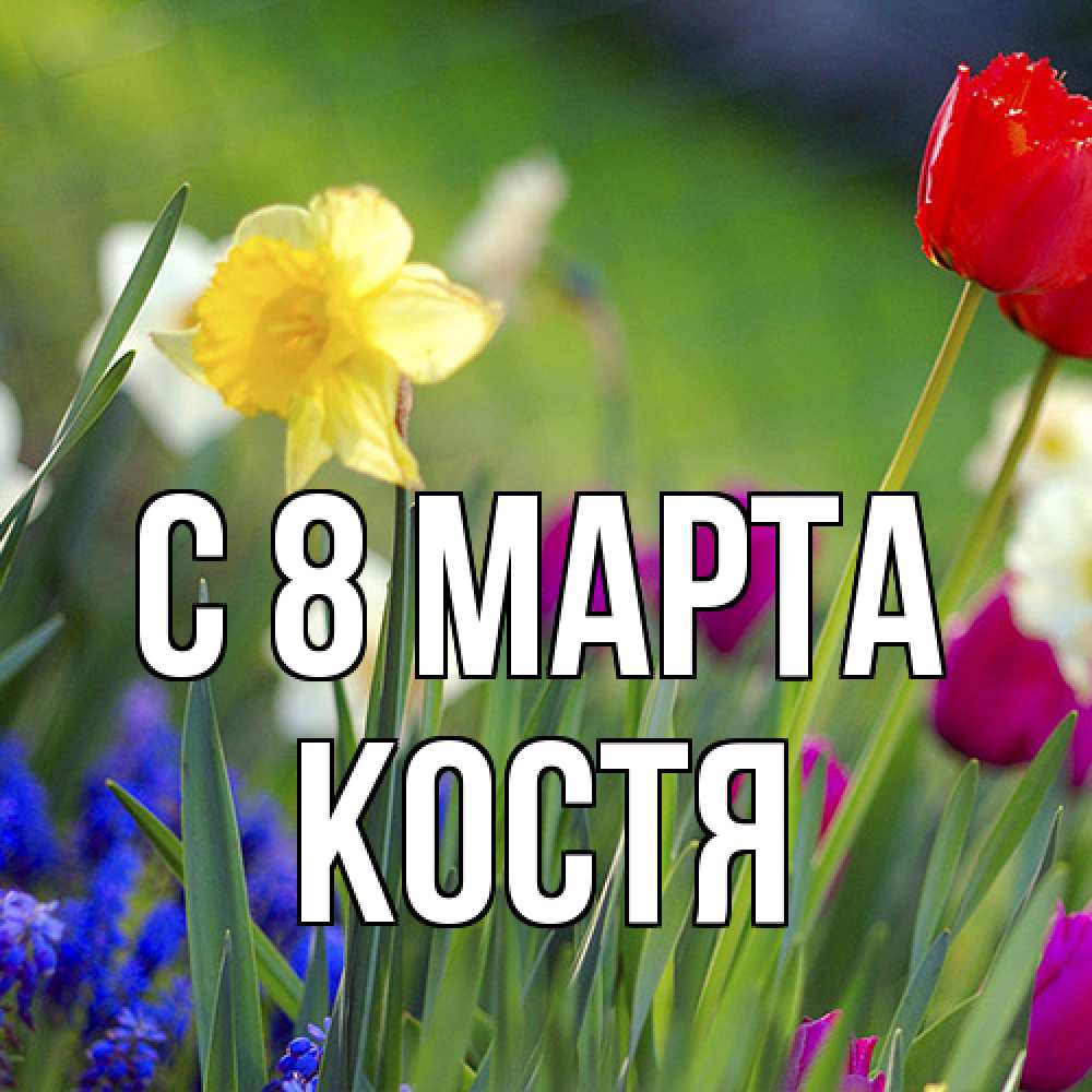 Открытка на каждый день с именем, Костя C 8 МАРТА международный женский день 3 Прикольная открытка с пожеланием онлайн скачать бесплатно 