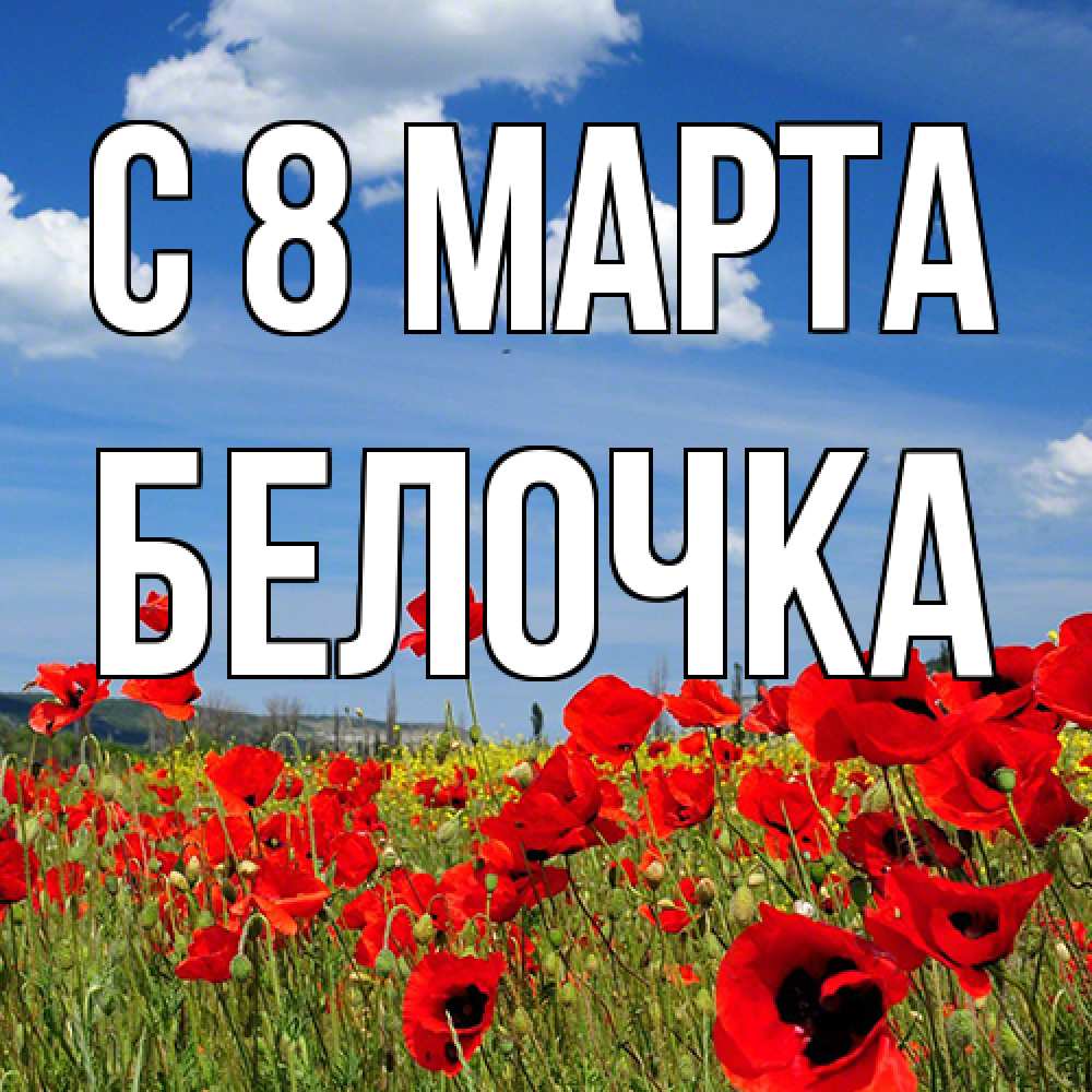 Открытка на каждый день с именем, Белочка C 8 МАРТА международный женский день 1 Прикольная открытка с пожеланием онлайн скачать бесплатно 