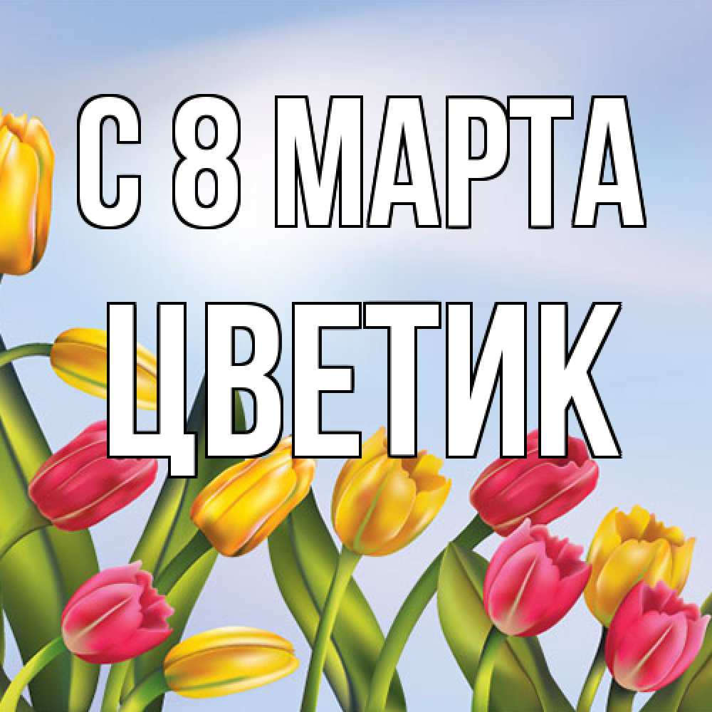 Открытка на каждый день с именем, цветик C 8 МАРТА международный женский день Прикольная открытка с пожеланием онлайн скачать бесплатно 