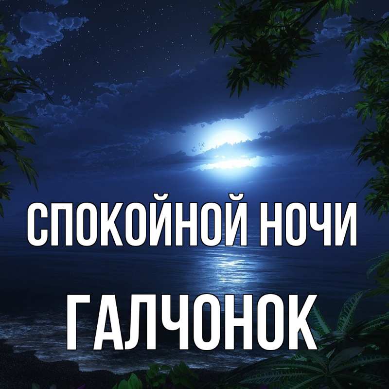 Картинка Спокойной ночи, галчонок