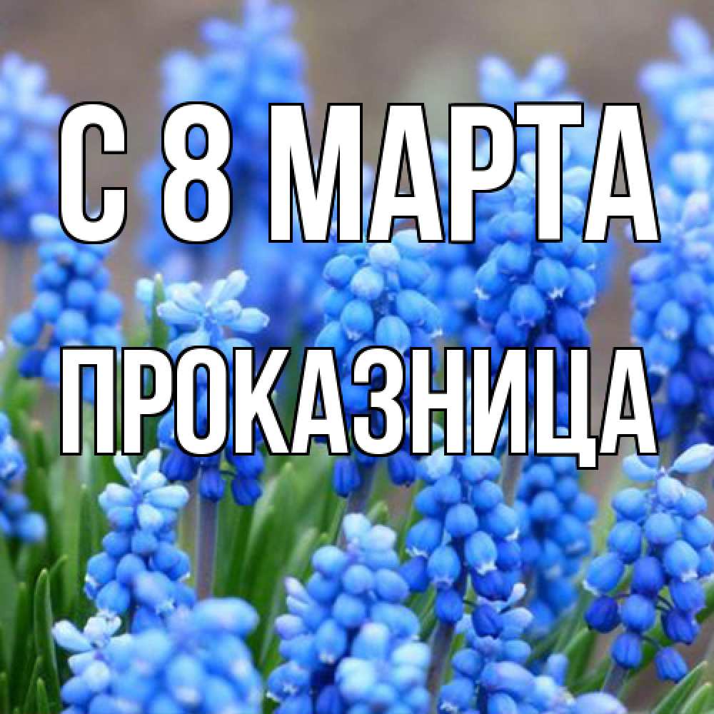 Открытка на каждый день с именем, Проказница C 8 МАРТА Поздравительная открытка для женщин с цветами на праздничную дату Прикольная открытка с пожеланием онлайн скачать бесплатно 