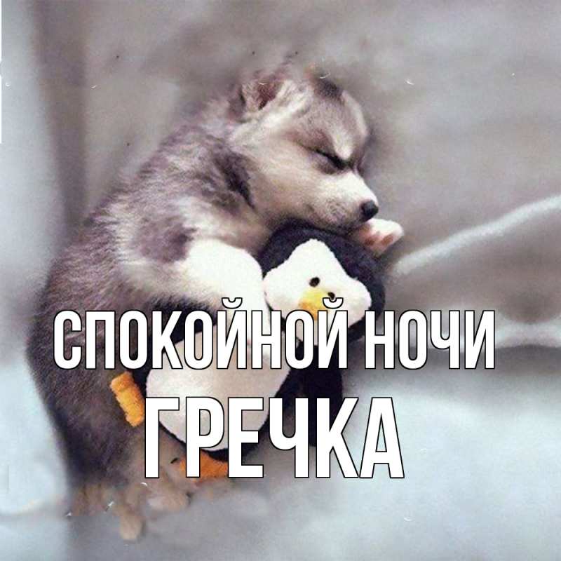 Картинка Спокойной ночи, Гречка