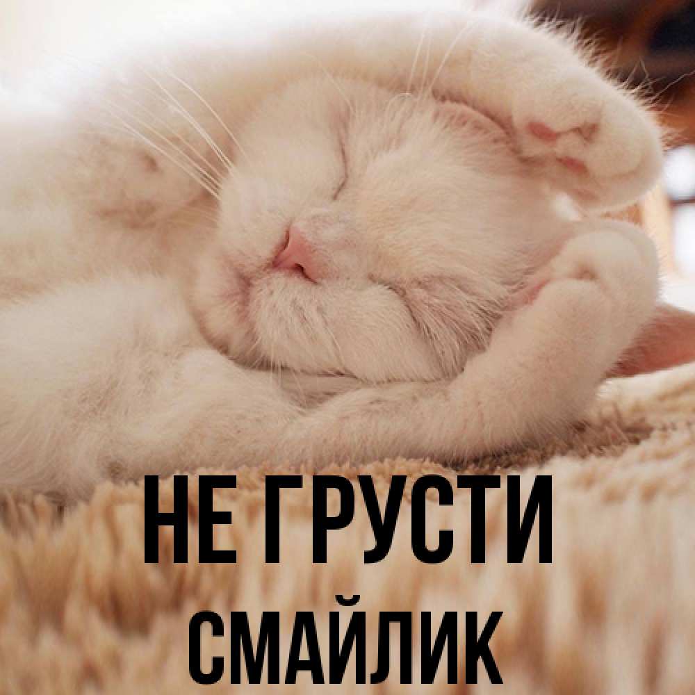 Открытка на каждый день с именем, Смайлик Не грусти Котенок спит Прикольная открытка с пожеланием онлайн скачать бесплатно 
