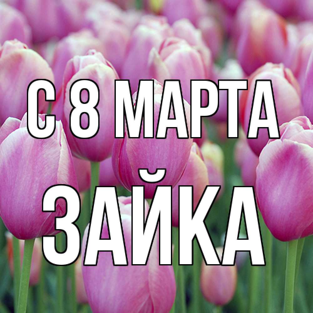 Открытка на каждый день с именем, Зайка C 8 МАРТА на международный женский день 3 Прикольная открытка с пожеланием онлайн скачать бесплатно 