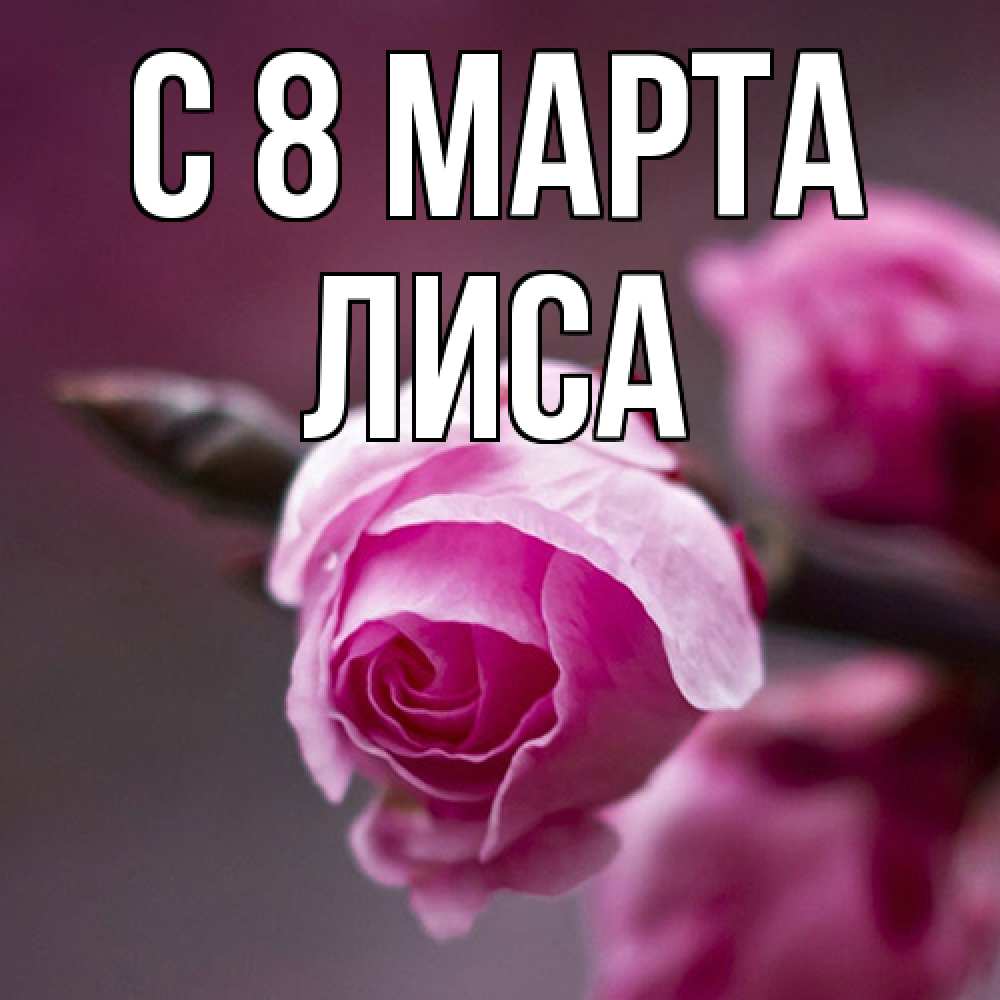 Открытка на каждый день с именем, лиса C 8 МАРТА весна Прикольная открытка с пожеланием онлайн скачать бесплатно 