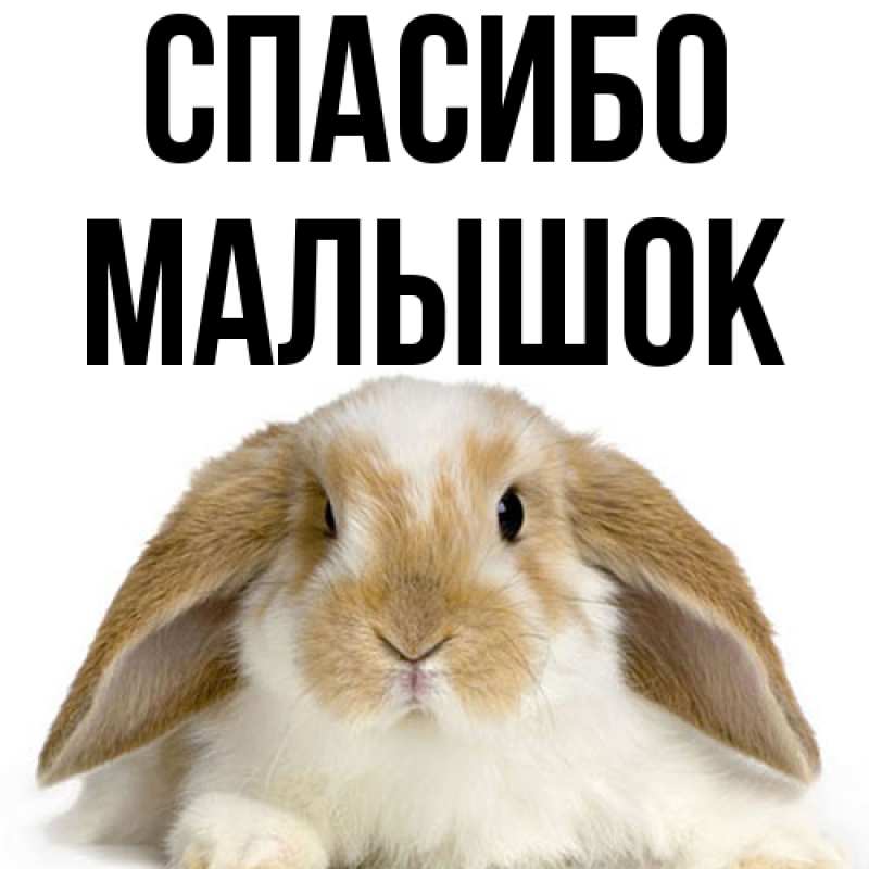 Картинка Спасибо, малышок