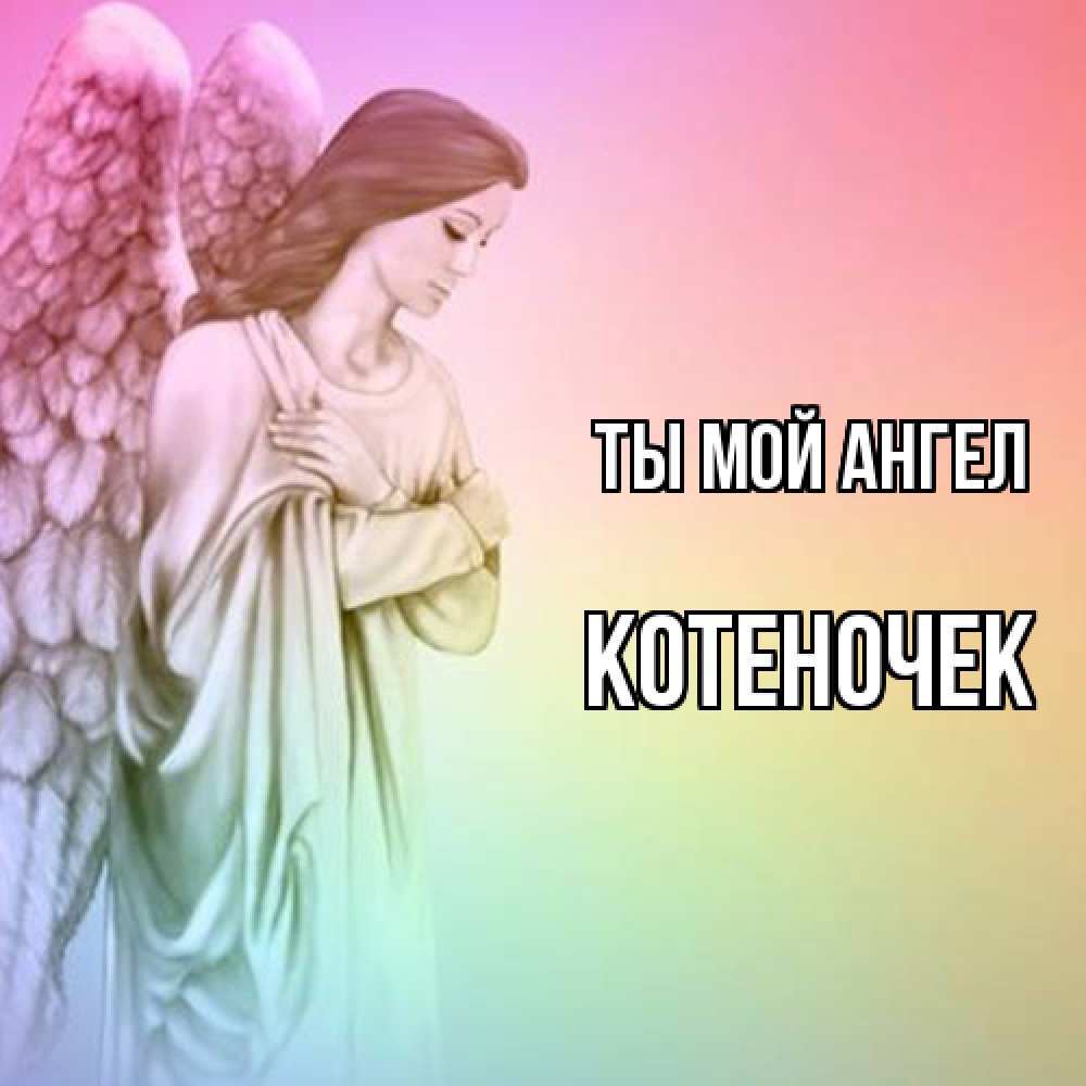 Открытка на каждый день с именем, Котеночек Ты мой ангел Открытка с ангелом со сложенными крыльями Прикольная открытка с пожеланием онлайн скачать бесплатно 