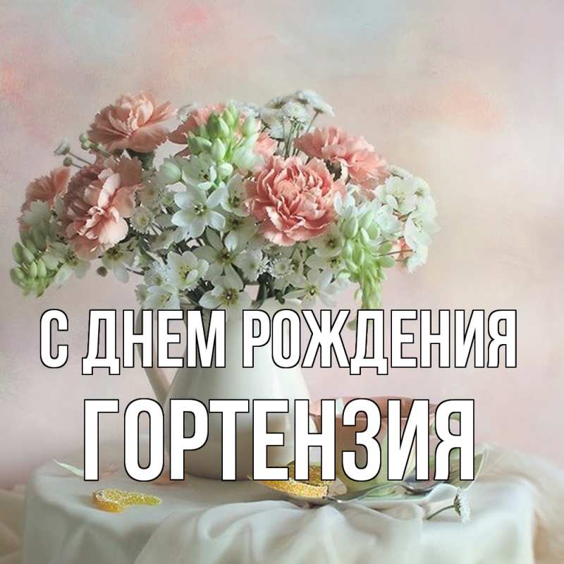 Картинка С днем рождения, Гортензия