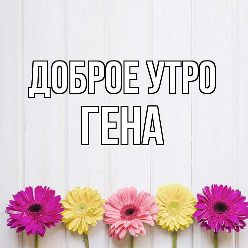 Открытка на каждый день с именем, Гена Доброе утро красный желтый и розовый цветок Прикольная открытка с пожеланием онлайн скачать бесплатно 