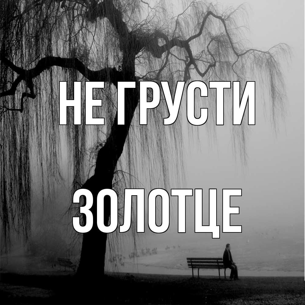 Открытка на каждый день с именем, Золотце Не грусти висящие ветки дерева и лавочка под деревом Прикольная открытка с пожеланием онлайн скачать бесплатно 