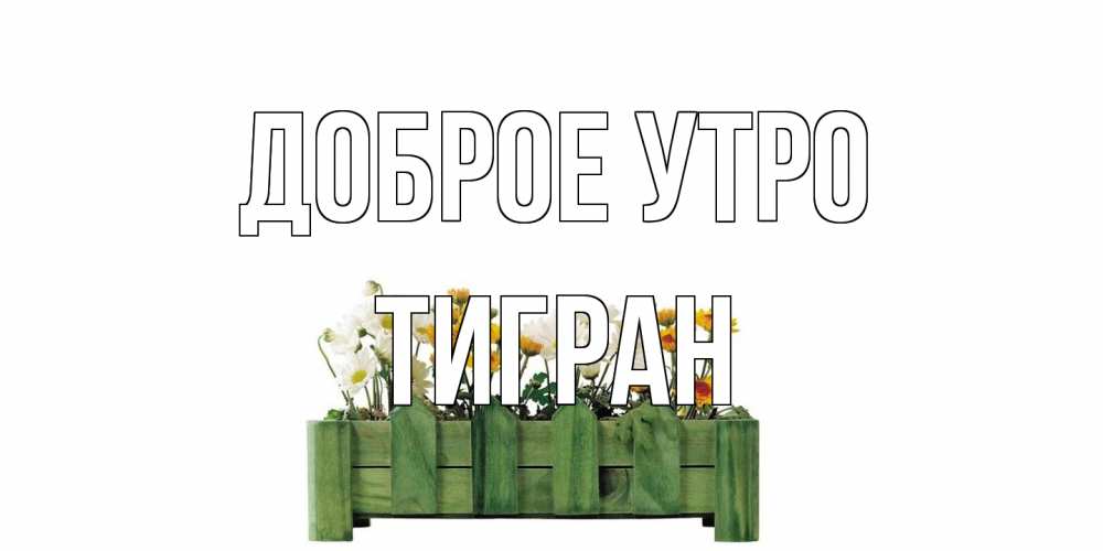 Открытка на каждый день с именем, Тигран Доброе утро цветы Прикольная открытка с пожеланием онлайн скачать бесплатно 