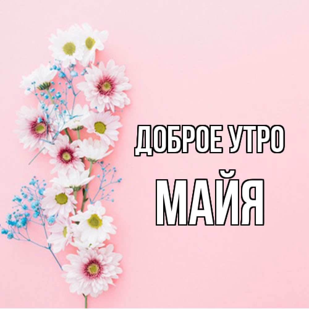 Открытка на каждый день с именем, Майя Доброе утро цветы с подписью Прикольная открытка с пожеланием онлайн скачать бесплатно 