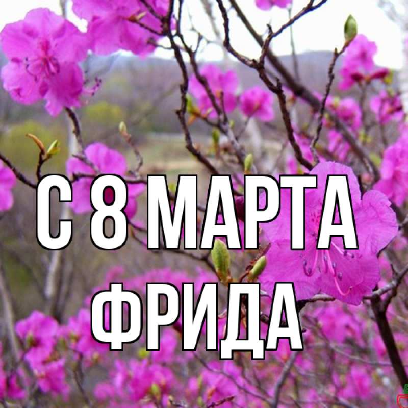Картинка C 8 МАРТА, Фрида