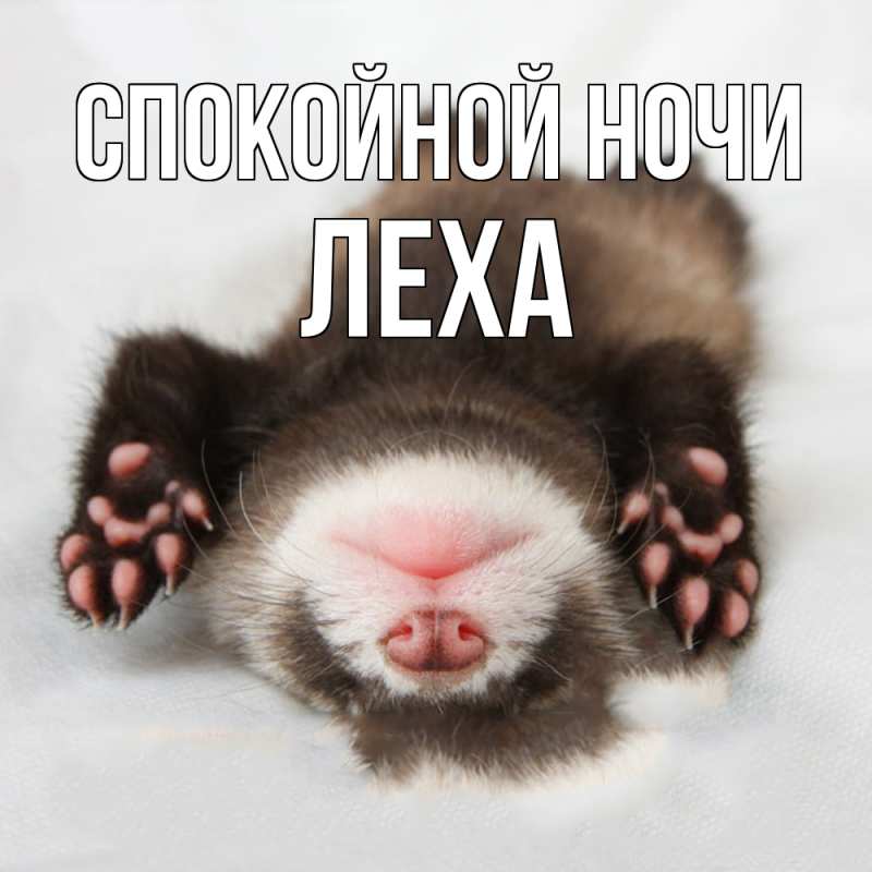 Картинка Спокойной ночи, леха
