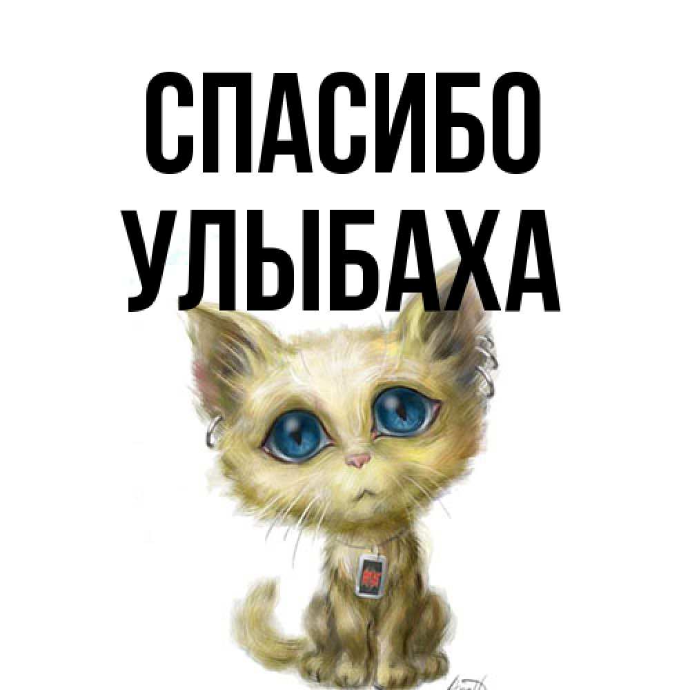 Открытка на каждый день с именем, Улыбаха Спасибо рисованный кот благодарит вас Прикольная открытка с пожеланием онлайн скачать бесплатно 