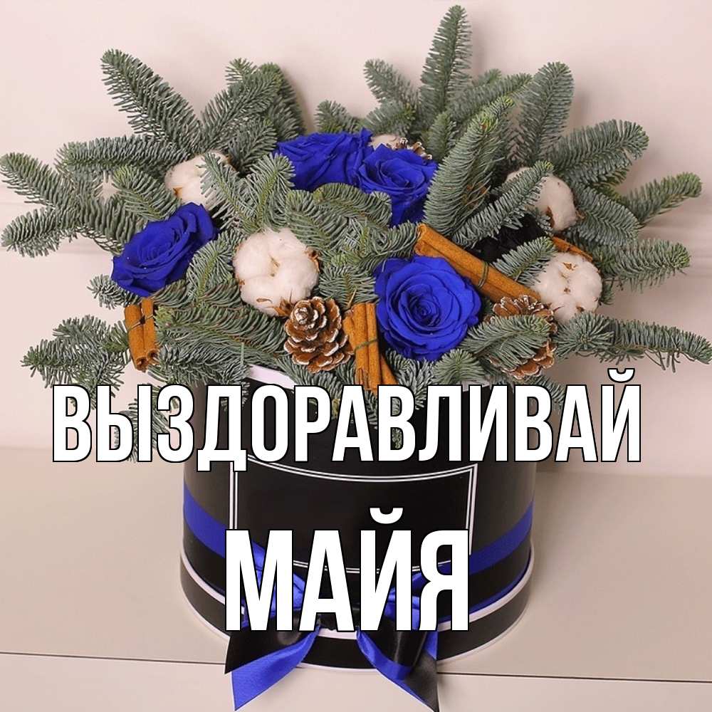 Открытка на каждый день с именем, Майя Выздоравливай короче кто то загрузил эти шишки Прикольная открытка с пожеланием онлайн скачать бесплатно 