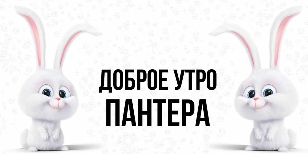 Открытка на каждый день с именем, Пантера Доброе утро кролики с длинными ушками Прикольная открытка с пожеланием онлайн скачать бесплатно 
