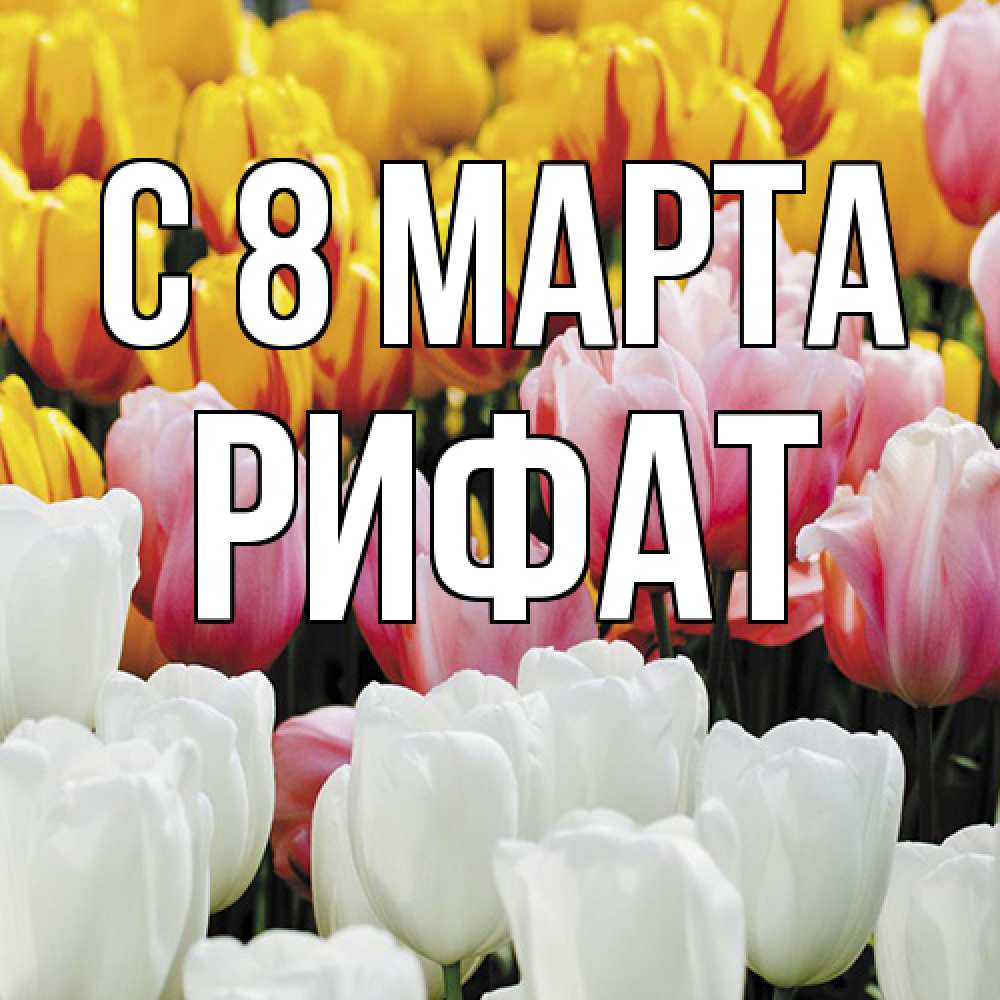 Открытка на каждый день с именем, Рифат C 8 МАРТА разноцветные цветы Прикольная открытка с пожеланием онлайн скачать бесплатно 