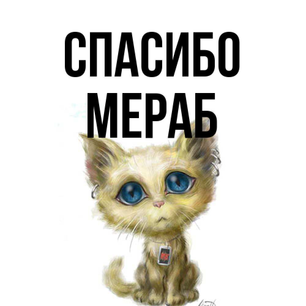 Открытка на каждый день с именем, Мераб Спасибо рисованный кот благодарит вас Прикольная открытка с пожеланием онлайн скачать бесплатно 