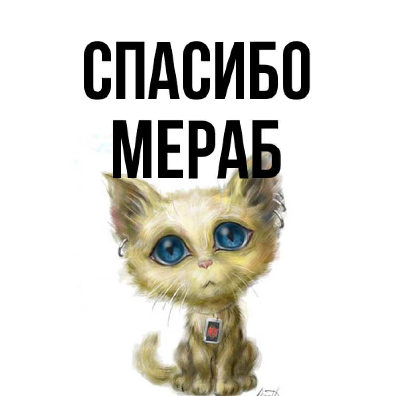 Картинка Спасибо, Мераб