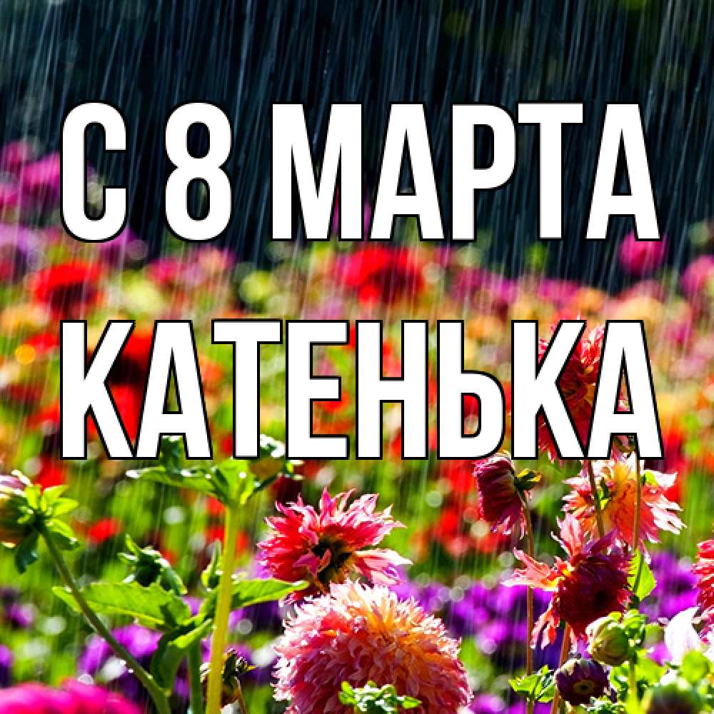 Открытка на каждый день с именем, Катенька C 8 МАРТА цветы под дождиком к международному женскому дню Прикольная открытка с пожеланием онлайн скачать бесплатно 