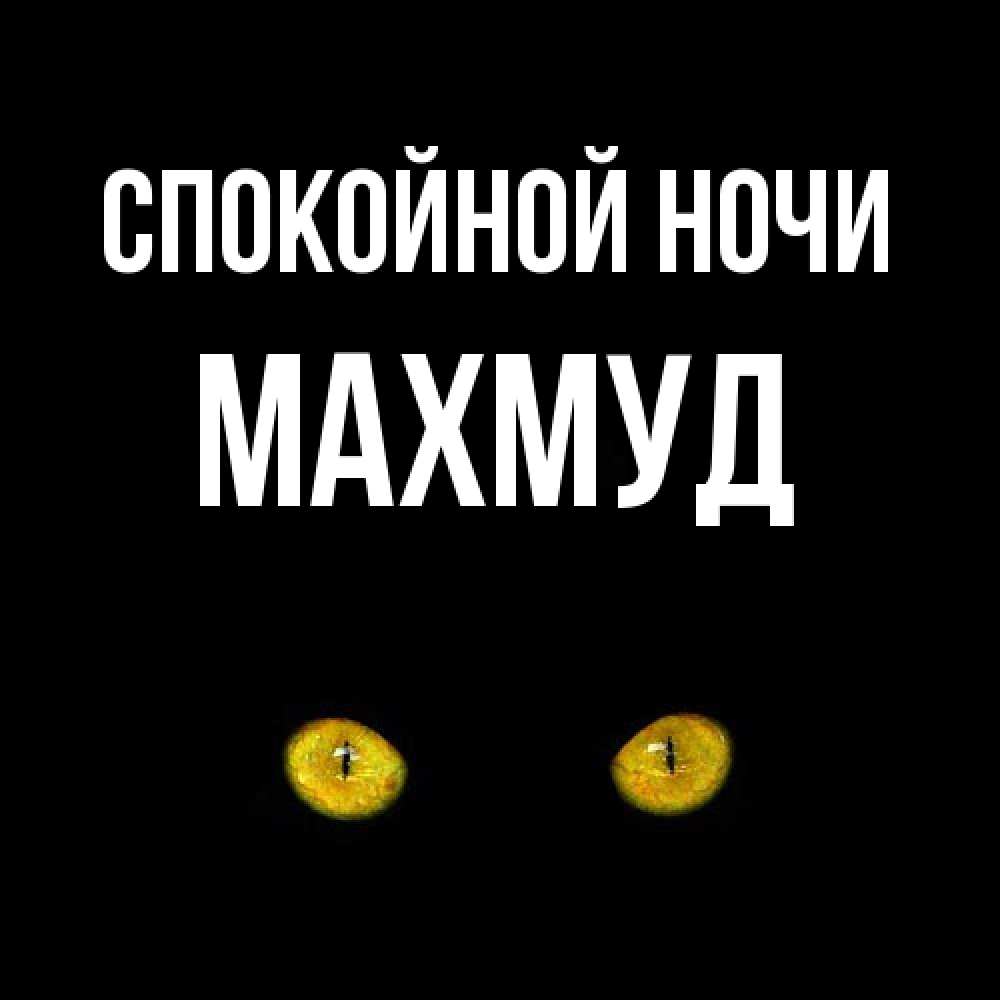 Открытка на каждый день с именем, Махмуд Спокойной ночи сладких снов бесстрашный мой дружочек Прикольная открытка с пожеланием онлайн скачать бесплатно 