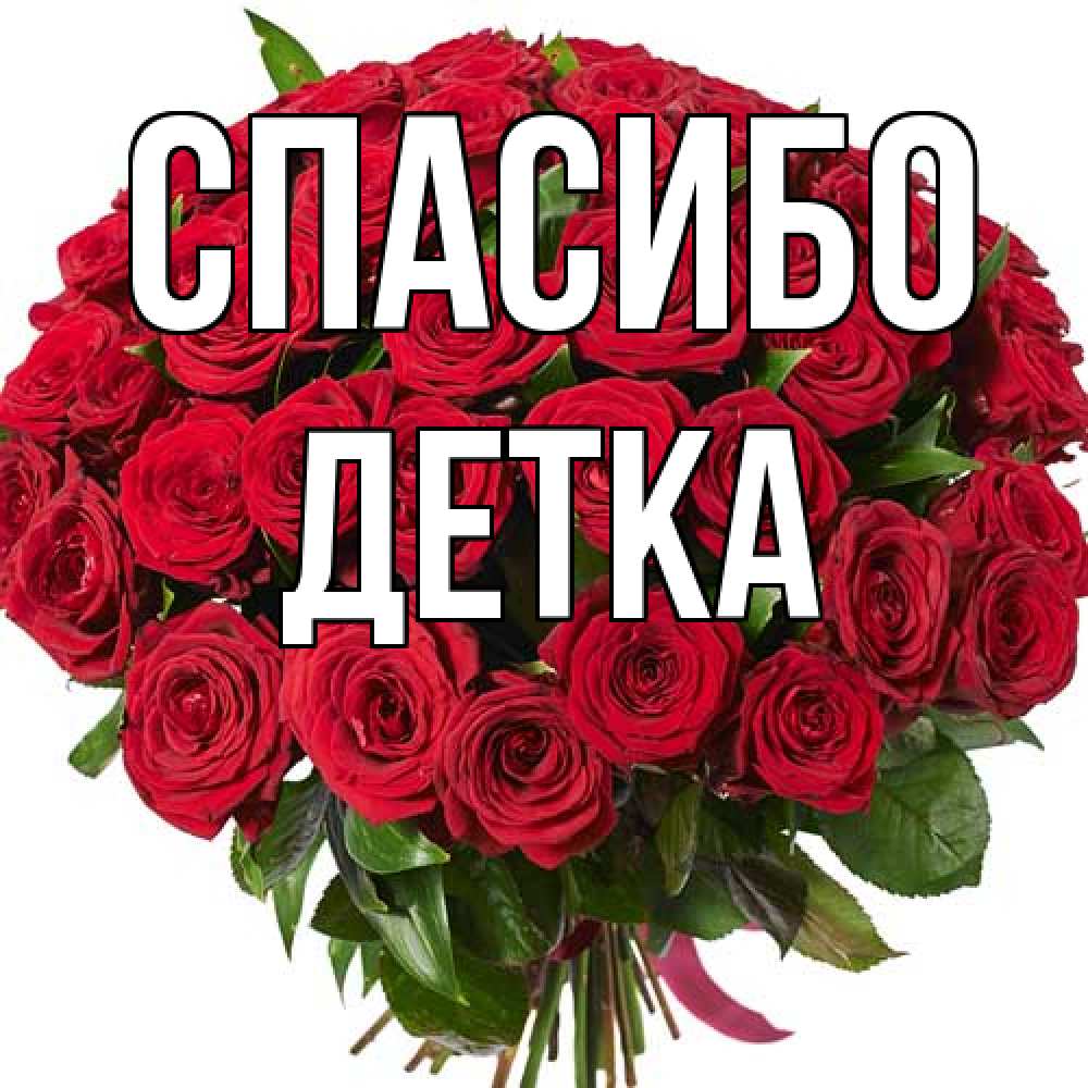 Открытка на каждый день с именем, Детка Спасибо букет красных роз Прикольная открытка с пожеланием онлайн скачать бесплатно 