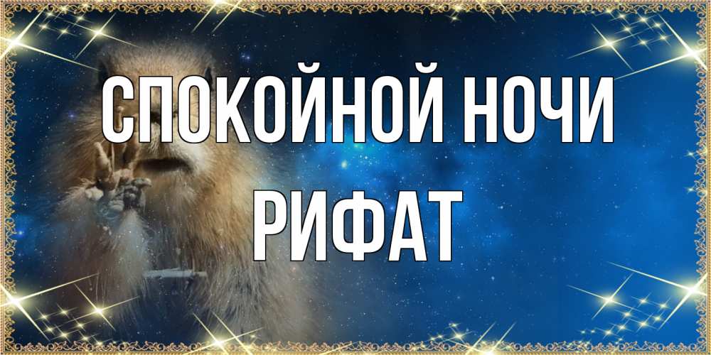 Открытка на каждый день с именем, Рифат Спокойной ночи спокойной ночи сладких снов Прикольная открытка с пожеланием онлайн скачать бесплатно 
