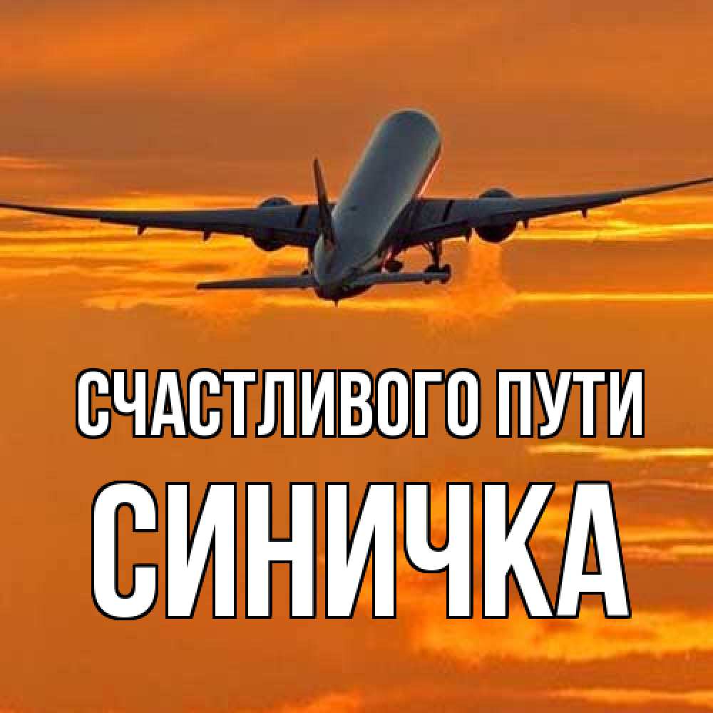 Открытка на каждый день с именем, Синичка Счастливого пути оранжевое небо Прикольная открытка с пожеланием онлайн скачать бесплатно 