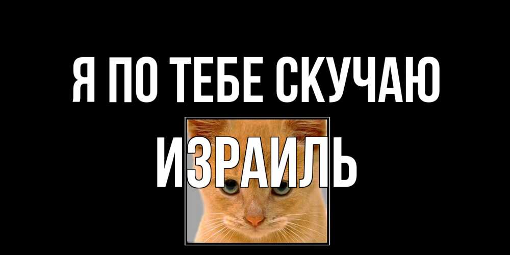 Открытка на каждый день с именем, Израиль Я по тебе скучаю открытки рыжий котенок скучает по тебе Прикольная открытка с пожеланием онлайн скачать бесплатно 