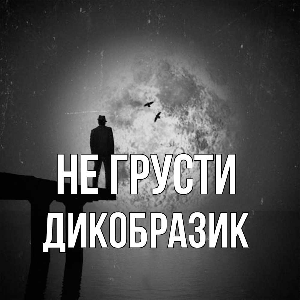 Открытка на каждый день с именем, дикобразик Не грусти мужчина на мосту Прикольная открытка с пожеланием онлайн скачать бесплатно 