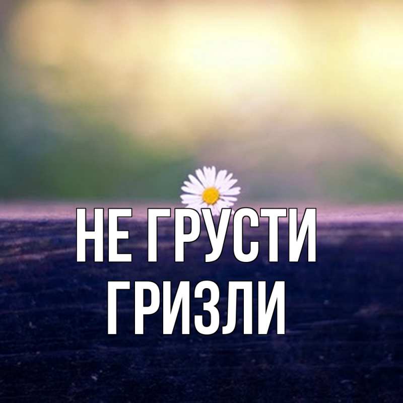 Открытка с именем, Гризли, Не грусти