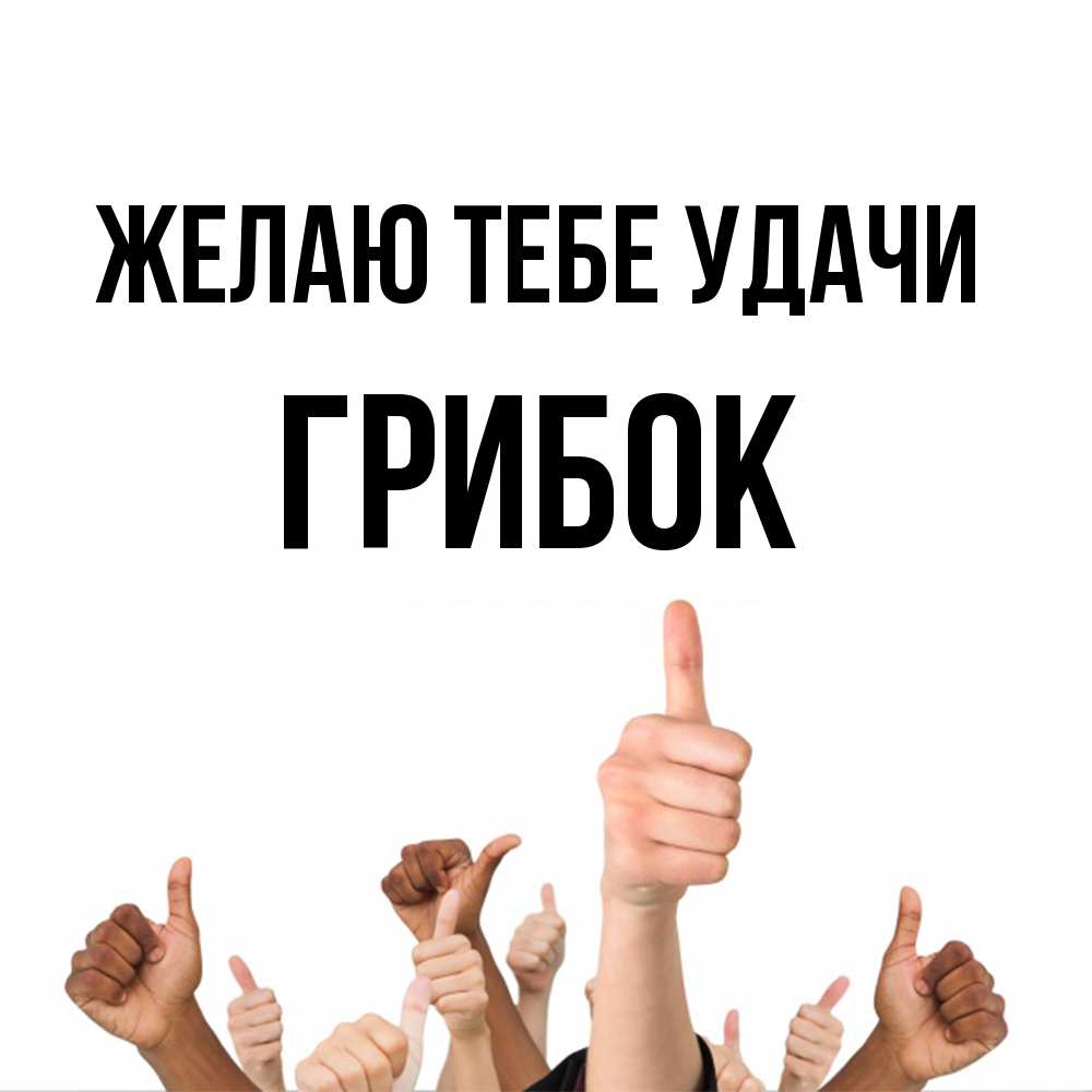Открытка на каждый день с именем, Грибок Желаю тебе удачи молодцом Прикольная открытка с пожеланием онлайн скачать бесплатно 