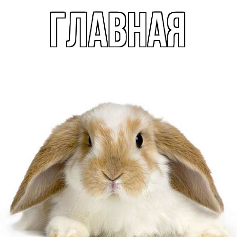 Открытка с именем, равиль, 