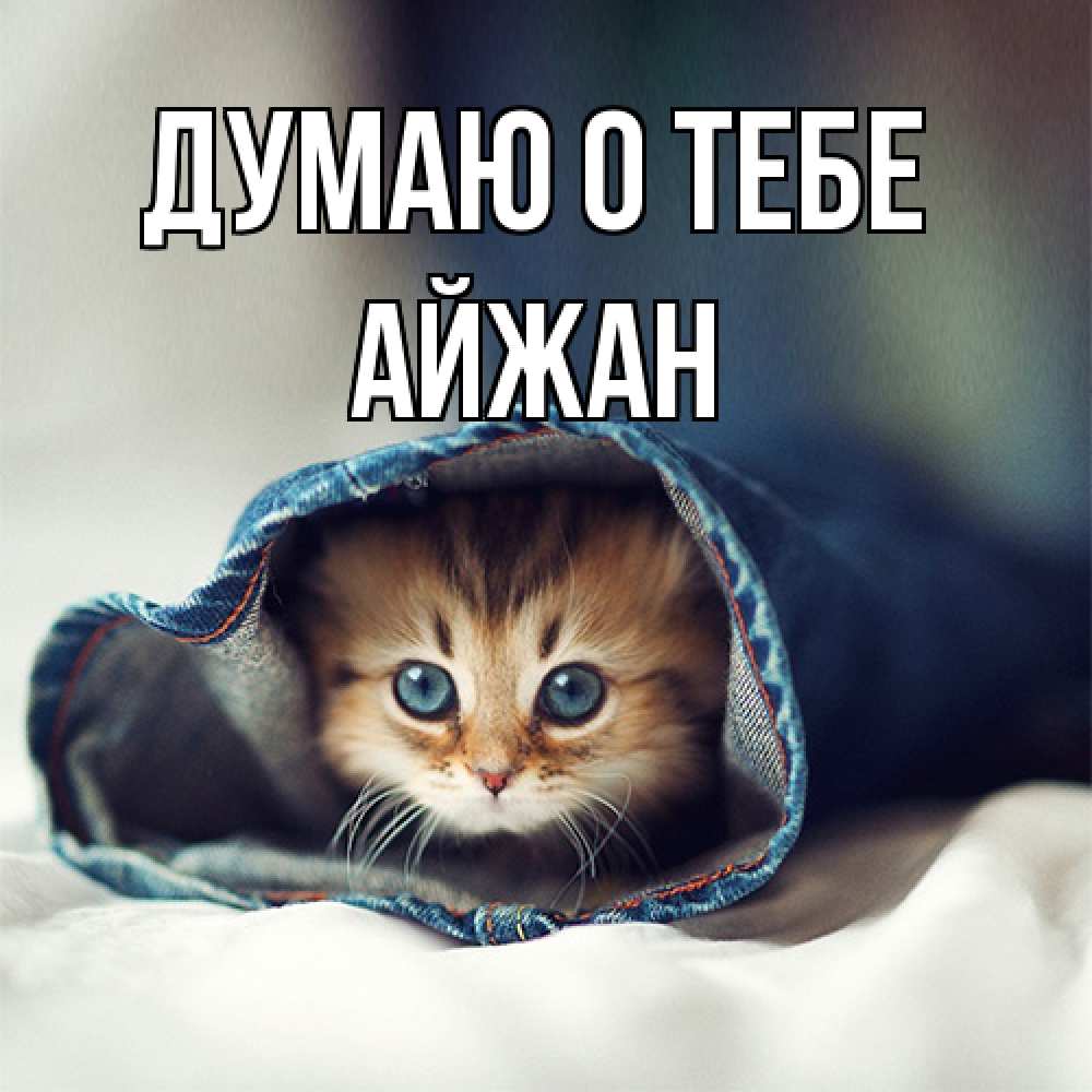 Открытка на каждый день с именем, Айжан Думаю о тебе мне без тебя плохо Прикольная открытка с пожеланием онлайн скачать бесплатно 