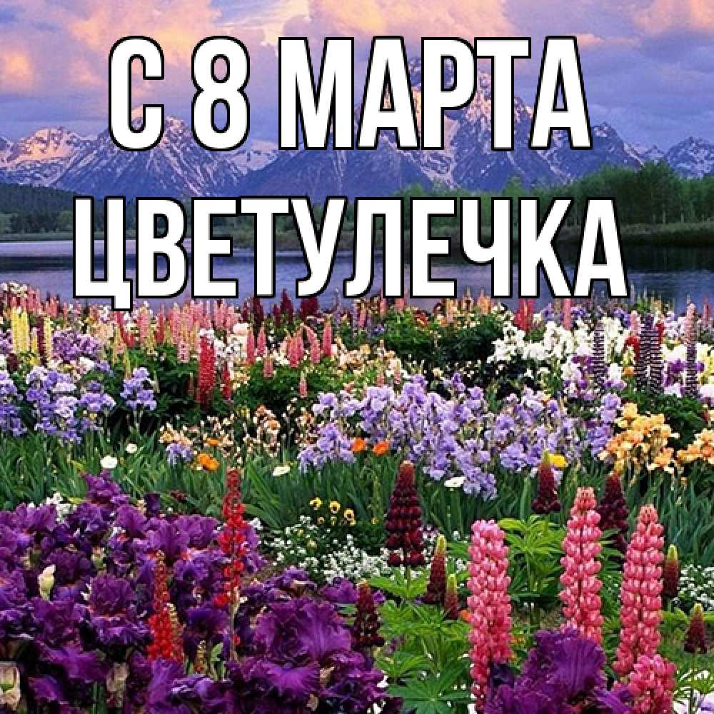 Открытка на каждый день с именем, Цветулечка C 8 МАРТА международный женский день Прикольная открытка с пожеланием онлайн скачать бесплатно 