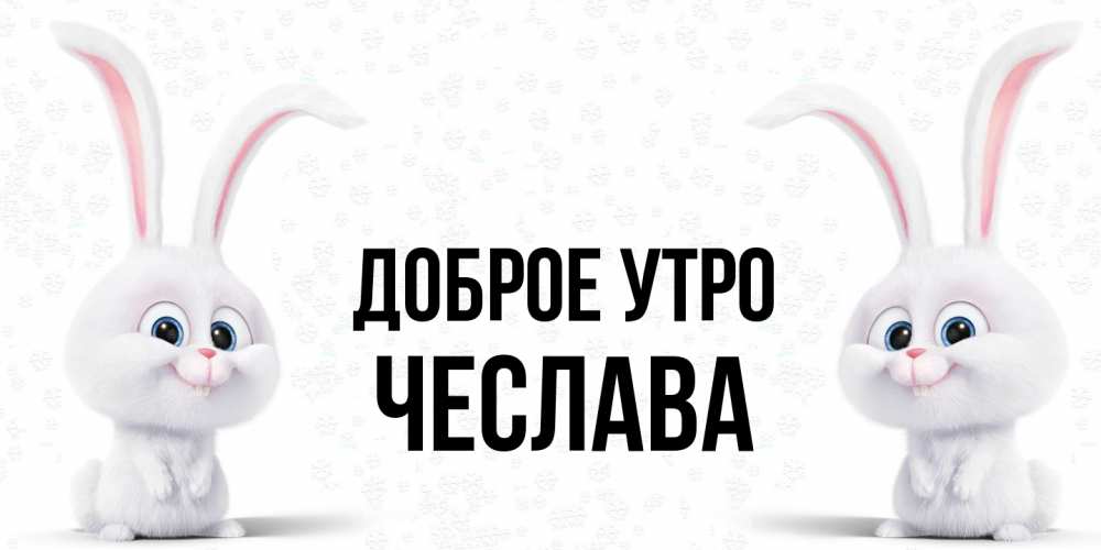 Открытка на каждый день с именем, Чеслава Доброе утро кролики с длинными ушками Прикольная открытка с пожеланием онлайн скачать бесплатно 