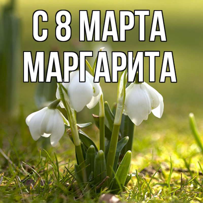 Картинка C 8 МАРТА, Маргарита