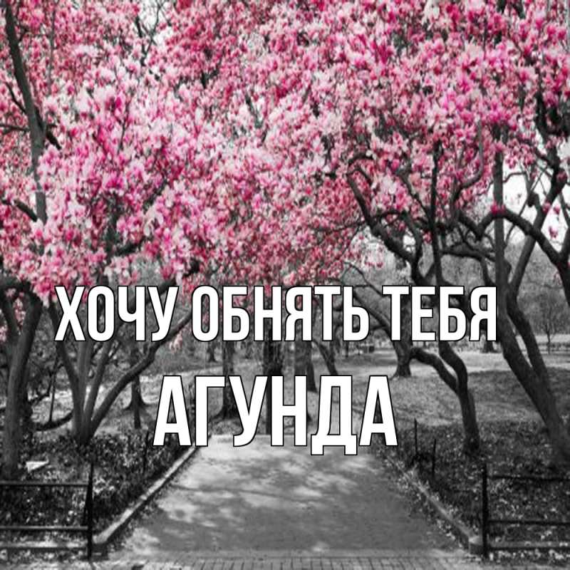 Картинка Хочу обнять тебя, Агунда