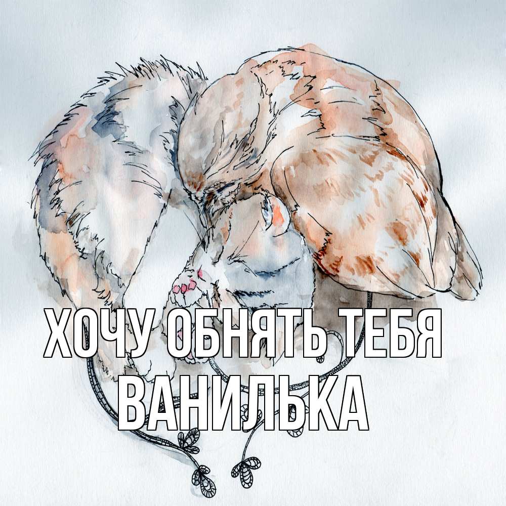 Открытка на каждый день с именем, Ванилька Хочу обнять тебя можно быть вместе даже когда очень разные Прикольная открытка с пожеланием онлайн скачать бесплатно 