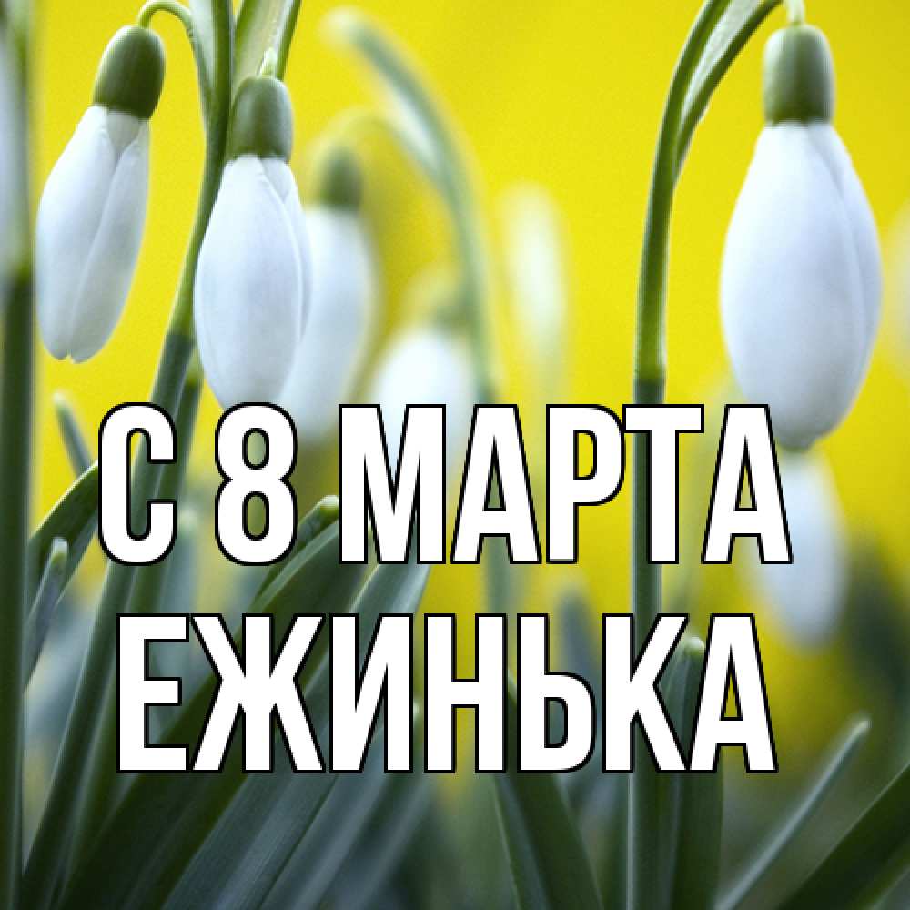 Открытка на каждый день с именем, ежинька C 8 МАРТА весенние цветы Прикольная открытка с пожеланием онлайн скачать бесплатно 