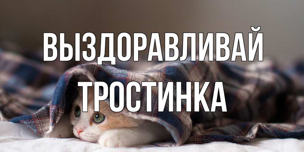 Открытка на каждый день с именем, Тростинка Выздоравливай не болейте с котиком Прикольная открытка с пожеланием онлайн скачать бесплатно 