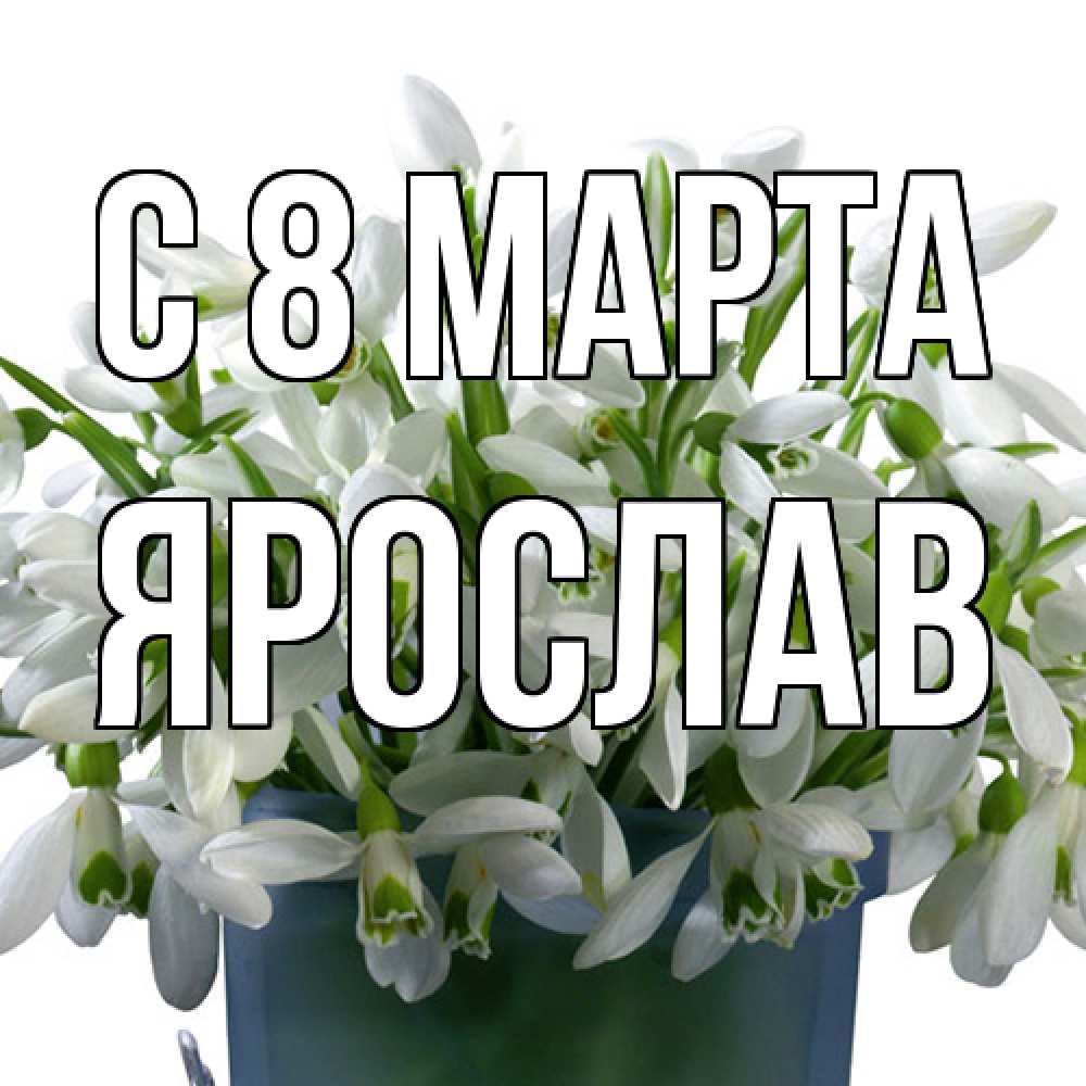 Открытка на каждый день с именем, Ярослав C 8 МАРТА цветы к международному женскому дню Прикольная открытка с пожеланием онлайн скачать бесплатно 