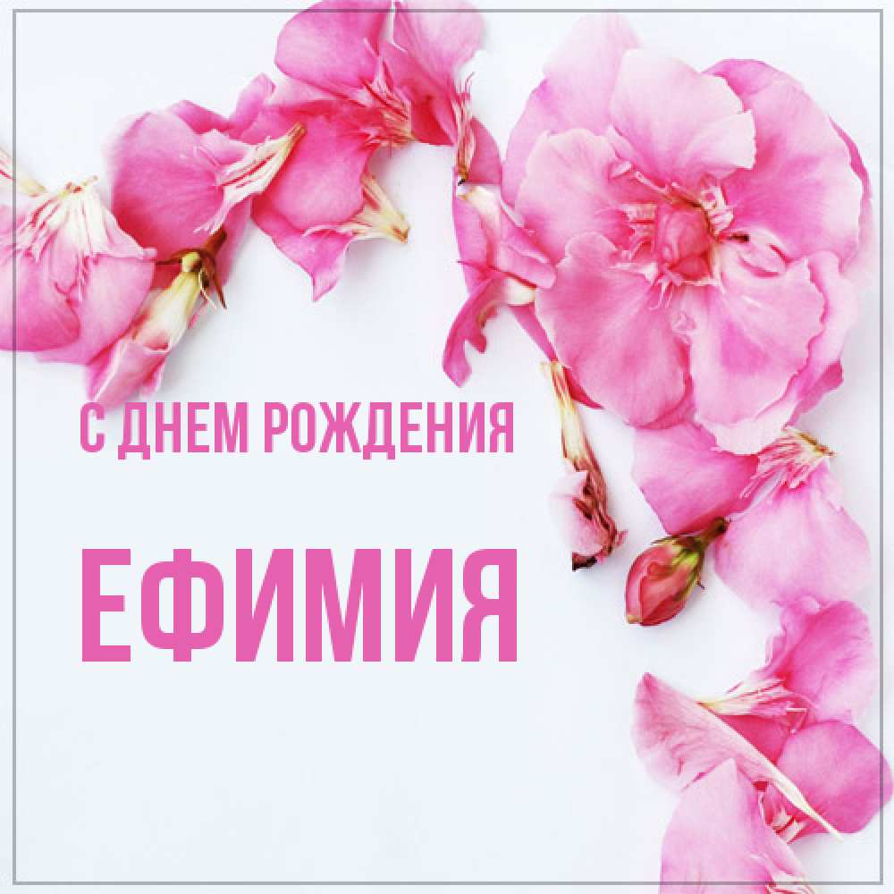 Открытка на каждый день с именем, Ефимия С днем рождения Красивая открытка для поздравления с днем рождения Прикольная открытка с пожеланием онлайн скачать бесплатно 