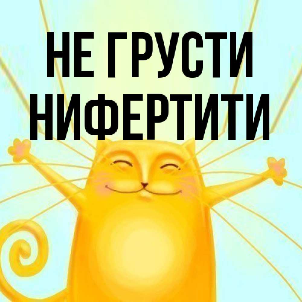 Открытка на каждый день с именем, Нифертити Не грусти обнимашки усатые Прикольная открытка с пожеланием онлайн скачать бесплатно 
